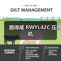 路得威 RWYL42C 压路机