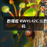 路得威 RWYL42C 压路机
