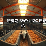 路得威 RWYL42C 压路机