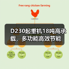 D230起重机18吨高承载，多功能高效节能