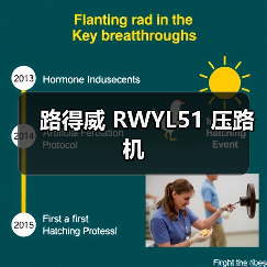 路得威 RWYL51 压路机