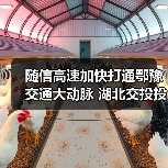随信高速加快打通鄂豫交通大动脉 湖北交投投建