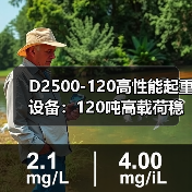 D2500-120高性能起重设备：120吨高载荷稳定性解析