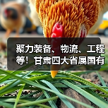 聚力装备、物流、工程等！甘肃四大省属国有工业企业合作