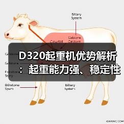 D320起重机优势解析：起重能力强、稳定性好