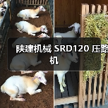 陕建机械 SRD120 压路机