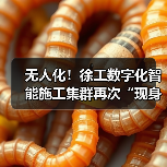无人化！徐工数字化智能施工集群再次“现身”沪宁高速