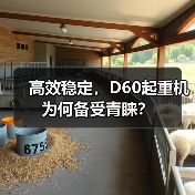 高效稳定，D60起重机为何备受青睐？