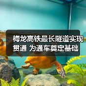 梅龙高铁最长隧道实现贯通 为通车奠定基础