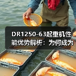 DR1250-63起重机性能优势解析：为何成为大型工程首选？