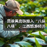 昌景黄高铁接入“八纵八横”，江西旅游经济将迎新机遇