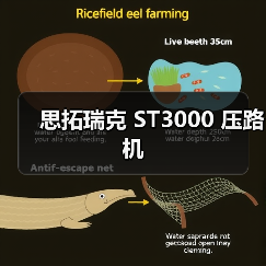 思拓瑞克 ST3000 压路机