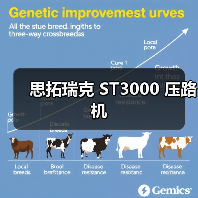 思拓瑞克 ST3000 压路机