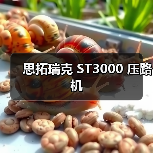 思拓瑞克 ST3000 压路机