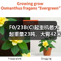 F0/23B(C)起重机最大起重量23吨，大臂42米覆盖广，高效施工利器