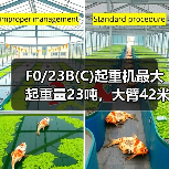 F0/23B(C)起重机最大起重量23吨，大臂42米覆盖广，高效施工利器