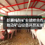 新疆鸣阳矿业战略合作推动矿山设备共赢发展