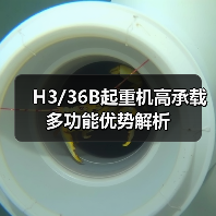H3/36B起重机高承载多功能优势解析