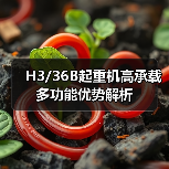 H3/36B起重机高承载多功能优势解析