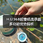 H3/36B起重机高承载多功能优势解析