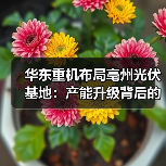 华东重机布局亳州光伏基地：产能升级背后的转型逻辑