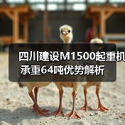 四川建设M1500起重机承重64吨优势解析