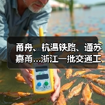 甬舟、杭温铁路、通苏嘉甬…浙江一批交通工程进度条刷新