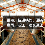 甬舟、杭温铁路、通苏嘉甬…浙江一批交通工程进度条刷新