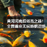 黄河河南段塔高之最！全国首座无纵筋钢混组合塔成功封顶