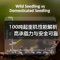 100吨起重机性能解析：高承载力与安全可靠如何实现？