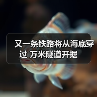 又一条铁路将从海底穿过 万米隧道开掘