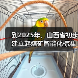 到2025年，山西省初步建立起煤矿智能化标准体系
