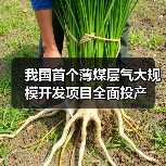 我国首个薄煤层气大规模开发项目全面投产