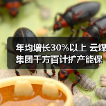 年均增长30%以上 云煤集团千方百计扩产能保 年均增长30%以上 云煤集团千方百计扩产能保