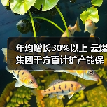 年均增长30%以上 云煤集团千方百计扩产能保 年均增长30%以上 云煤集团千方百计扩产能保