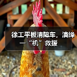 徐工平板清障车,演绎一“机”救援 徐工平板清障车,演绎一“机”救援