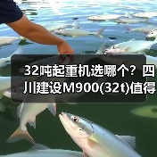 32吨起重机选哪个?四川建设M900(32t)值得信赖 32吨起重机选哪个?四川建设M900(32t)值得信赖