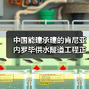 中国能建承建的肯尼亚内罗毕供水隧道工程正式移交