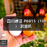 四川建设 P6015（10t） 起重机