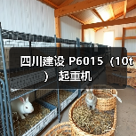 四川建设 P6015（10t） 起重机