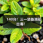 140台!三一装备满舱出海! 140台!三一装备满舱出海!