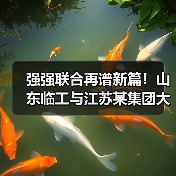 强强联合再谱新篇!山东临工与江苏某集团大客户挖掘机交机 强强联合再谱新篇!山东临工与江苏某集团大客户挖掘机交机