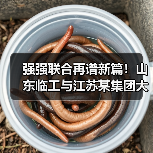 强强联合再谱新篇!山东临工与江苏某集团大客户挖掘机交机 强强联合再谱新篇!山东临工与江苏某集团大客户挖掘机交机