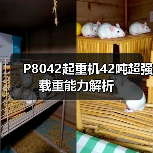 P8042起重机42吨超强载重能力解析 P8042起重机42吨超强载重能力解析