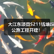 大江东项目S211钱塘段公路工程开建! 大江东项目S211钱塘段公路工程开建!