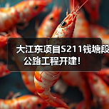 大江东项目S211钱塘段公路工程开建! 大江东项目S211钱塘段公路工程开建!