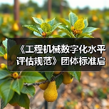 《工程机械数字化水平评估规范》团体标准启动会暨草案研讨会 《工程机械数字化水平评估规范》团体标准启动会暨草案研讨会
