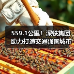 559.1公里！深铁集团助力打造交通强国城市范例