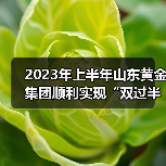 2023年上半年山东黄金集团顺利实现“双过半” 2023年上半年山东黄金集团顺利实现“双过半”