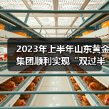 2023年上半年山东黄金集团顺利实现“双过半” 2023年上半年山东黄金集团顺利实现“双过半”